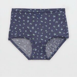 NWT Aerie Superchill Modal Rib High Waist Boybrief Panty